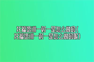 托福培训一对一是怎么做的(托福培训一对一是怎么做的呢)