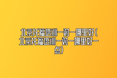 北京托福培训一对一哪里好(北京托福培训一对一哪里好一点)