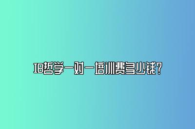 IB哲学一对一培训费多少钱？