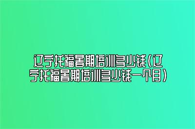 辽宁托福暑期培训多少钱(辽宁托福暑期培训多少钱一个月)