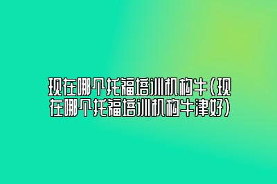 现在哪个托福培训机构牛(现在哪个托福培训机构牛津好)