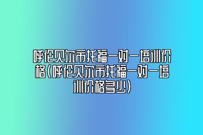 呼伦贝尔市托福一对一培训价格(呼伦贝尔市托福一对一培训价格多少)