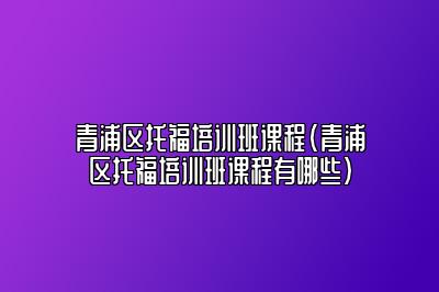 青浦区托福培训班课程(青浦区托福培训班课程有哪些)