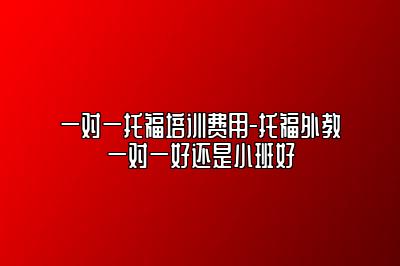 一对一托福培训费用-托福外教一对一好还是小班好