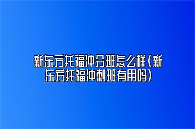 新东方托福冲分班怎么样(新东方托福冲刺班有用吗)