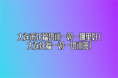 大连市托福培训一对一哪里好(大连托福一对一培训班)