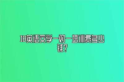 IB英语文学一对一培训费多少钱？