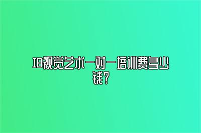 IB视觉艺术一对一培训费多少钱？