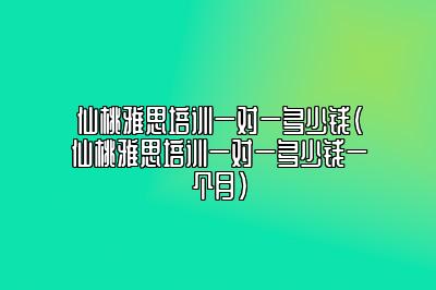 仙桃雅思培训一对一多少钱(仙桃雅思培训一对一多少钱一个月)