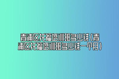 青浦区托福培训班多少钱(青浦区托福培训班多少钱一个月)