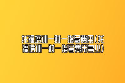 托福培训一对一指导费用(托福培训一对一指导费用多少)