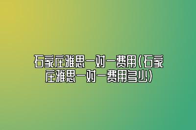 石家庄雅思一对一费用(石家庄雅思一对一费用多少)