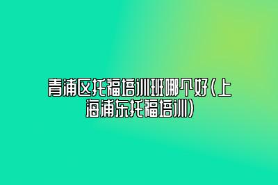 青浦区托福培训班哪个好(上海浦东托福培训)