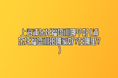 上海浦东托福培训哪个好(浦东托福培训班哪家好?在哪里?)