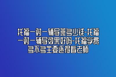 托福一对一辅导班多少钱-托福一对一辅导效果好吗-托福学费多不多主要还得看老师