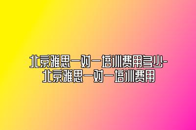 北京雅思一对一培训费用多少-北京雅思一对一培训费用