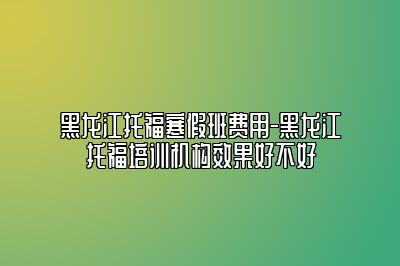 黑龙江托福寒假班费用-黑龙江托福培训机构效果好不好