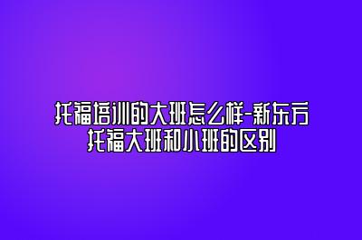 托福培训的大班怎么样-新东方托福大班和小班的区别