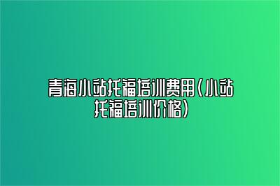 青海小站托福培训费用(小站托福培训价格)