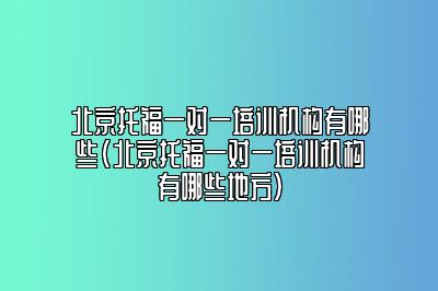 北京托福一对一培训机构有哪些(北京托福一对一培训机构有哪些地方)