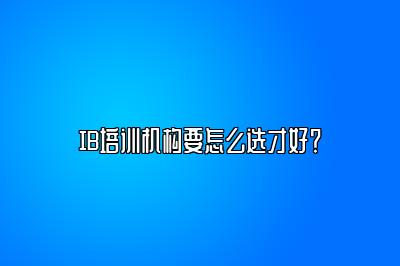 IB培训机构要怎么选才好？