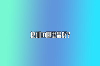 培训IB哪里最好？