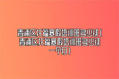 青浦区托福寒假培训班多少钱(青浦区托福寒假培训班多少钱一个月)