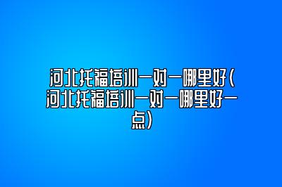 河北托福培训一对一哪里好(河北托福培训一对一哪里好一点)