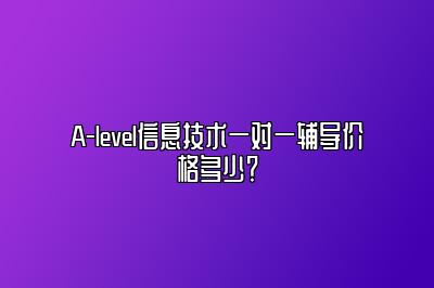 A-level信息技术一对一辅导价格多少？