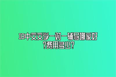 IB中文文学一对一辅导哪家好？费用多少？