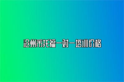 沧州市托福一对一培训价格