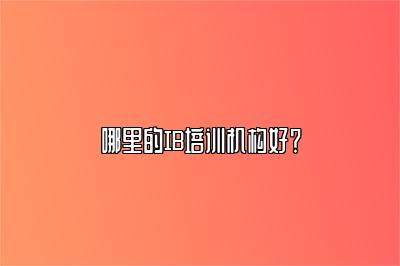 哪里的IB培训机构好？