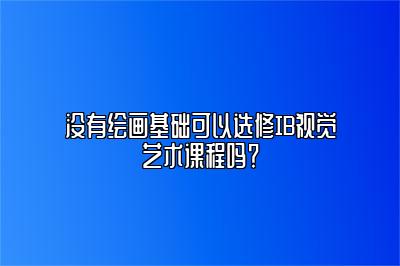 没有绘画基础可以选修IB视觉艺术课程吗？