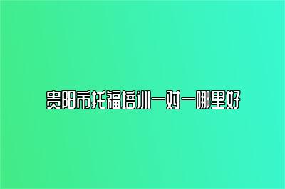 贵阳市托福培训一对一哪里好