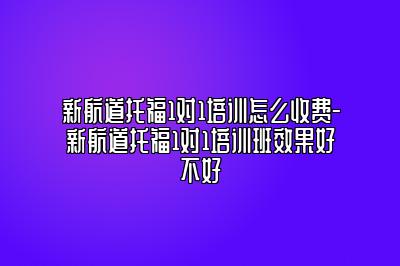 新航道托福1对1培训怎么收费-新航道托福1对1培训班效果好不好