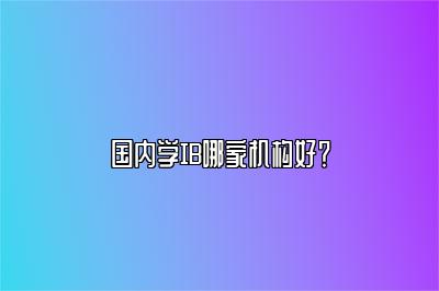 国内学IB哪家机构好？