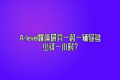 A-level媒体研究一对一辅导多少钱一小时？