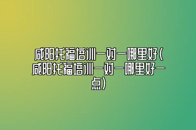 咸阳托福培训一对一哪里好(咸阳托福培训一对一哪里好一点)