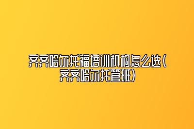 齐齐哈尔托福培训机构怎么选(齐齐哈尔托管班)