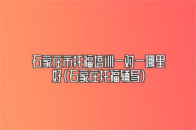 石家庄市托福培训一对一哪里好(石家庄托福辅导)