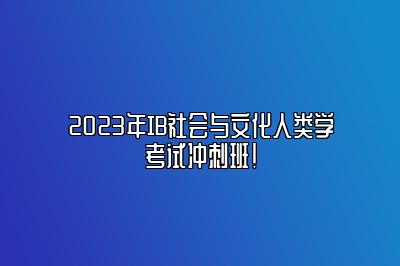 2023年IB社会与文化人类学考试冲刺班！