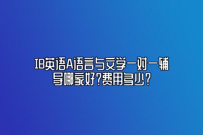 IB英语A语言与文学一对一辅导哪家好？费用多少？