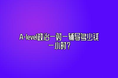 A-level政治一对一辅导多少钱一小时？