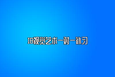 IB视觉艺术一对一补习