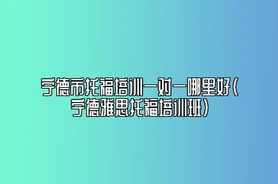 宁德市托福培训一对一哪里好(宁德雅思托福培训班)