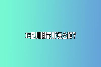 IB培训哪家好怎么样？