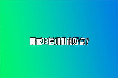 哪家IB培训机构好点？