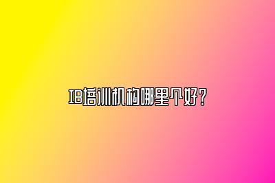 IB培训机构哪里个好？