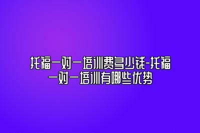 托福一对一培训费多少钱-托福一对一培训有哪些优势