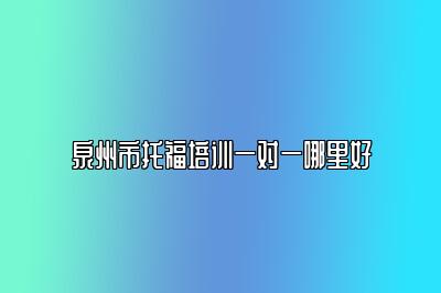 泉州市托福培训一对一哪里好